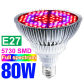 E27 80W