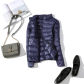 Navy blue stand