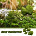 Slide image e2555654f59f421b8d4a9b7b4b57196f