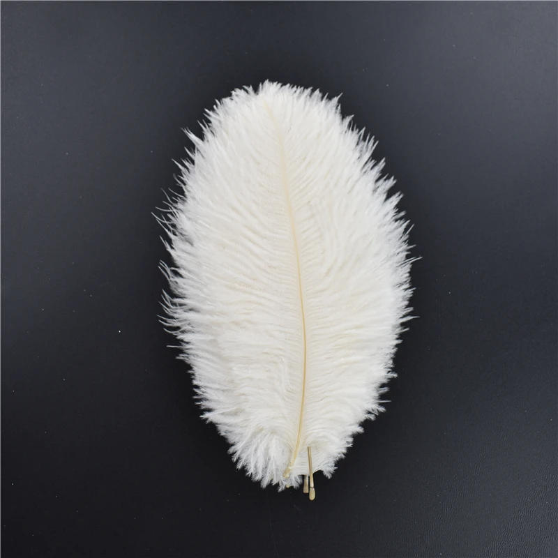 Description Picture 6 of item20Pcs White Feathers Natural Rooster Goose Ostrich Feather for Crafts Handicraft Accessories DIY Wedding Party Decoration Plumes