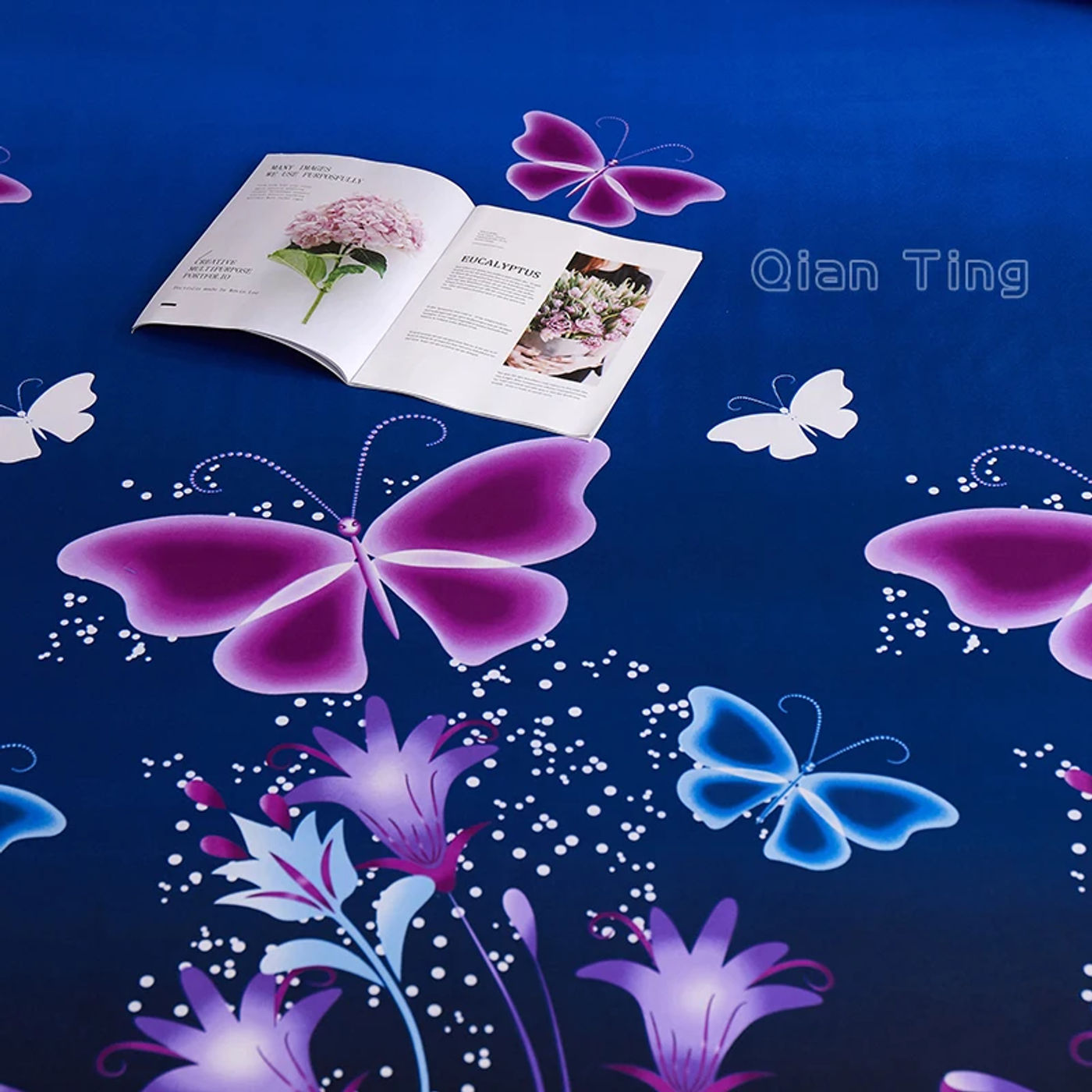 Slide b13a3cd231014e418a3fb1ac94e16848
