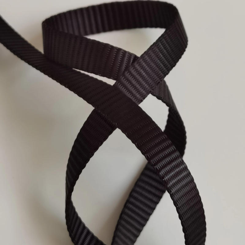 Description Picture 3 of item10-15mm Width 5 Meters Thickening Plain Weaves High-Grade Encryption Imitation Nylon Webbing Bag Strap Sewing Accessories