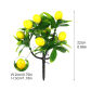 7 fruit
