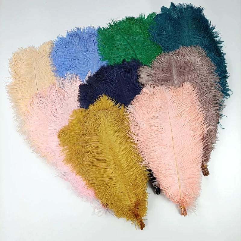 Description Picture 6 of itemWholesale 10Pcs/Lot New Colorful Ostrich Feathers White Black Feather Decor Plumes Vases Party Wedding Accessories Decoration