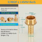 3l4 BSP 14mm Barb M