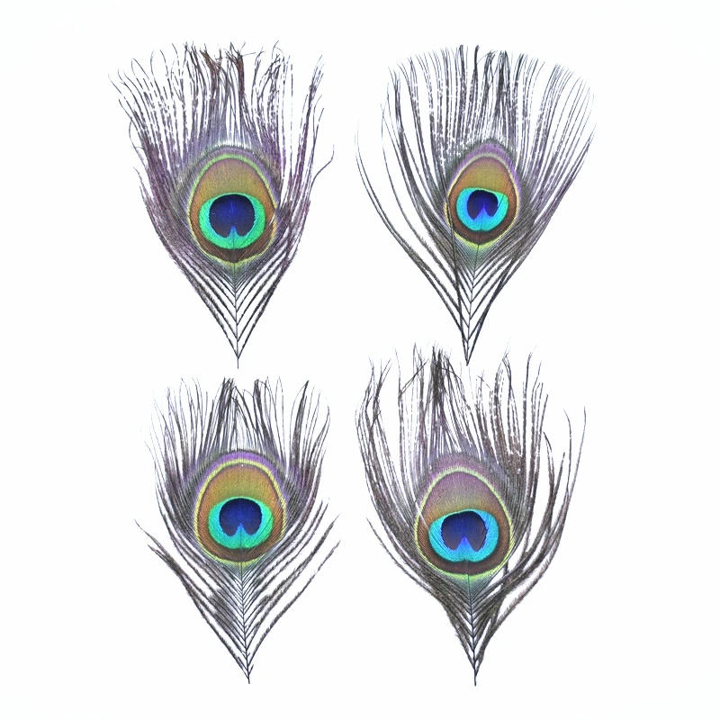 Description Picture 4 of item10Pcs Natural Rare Peacock Feathers Eye Feathers for Crafts Needlework Decoration Pheasant Feather Decor Carnival Accessories