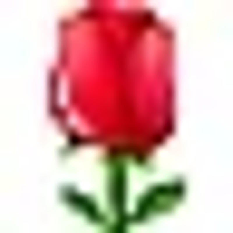 Description Picture 3 of itemGym Treadmill Maintenance Silicone Oil Efficient Treadmill Lubricant Oils Treadmill Lubricant Running Machine Lubricants