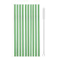 Green Straight