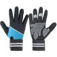 blue golves