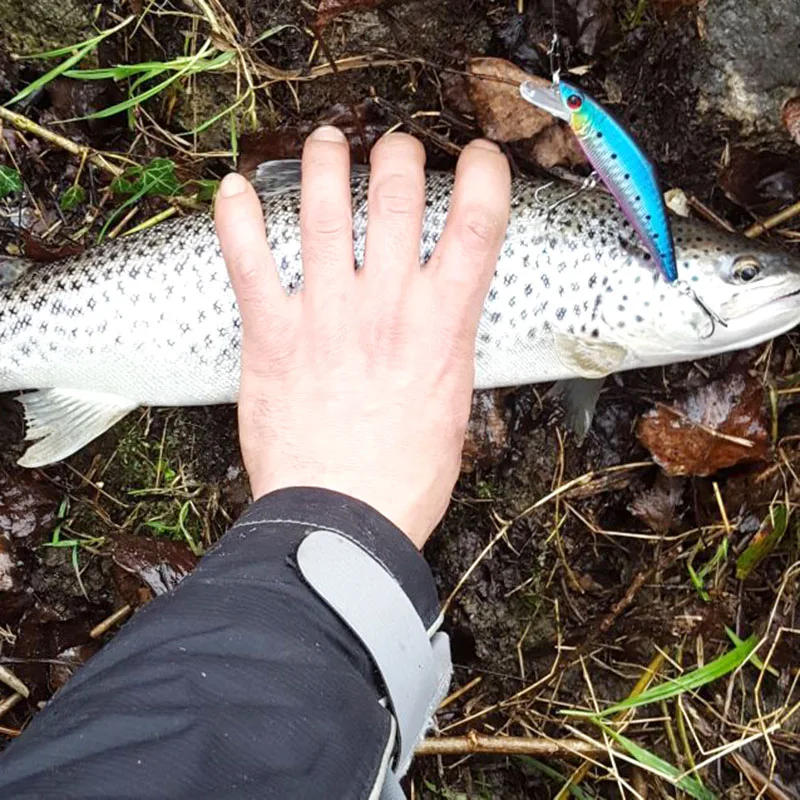 Description Picture 4 of itemAfishlure D-contact  63mm Minnows Pesca D Contact Fishing Lure воблер Swimbait