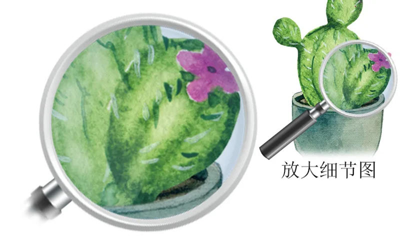 Description Picture 3 of itemGreen Garden Plant Cactus Potted Flower Pot Set 3D DIY Wall Decals/Adhesive Family Wall Sticker Mural Art Bathroom stairs Decor