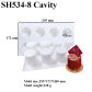 SH534-8 Cavity