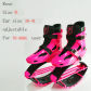 rose XL
