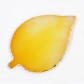 Leaf Yellow