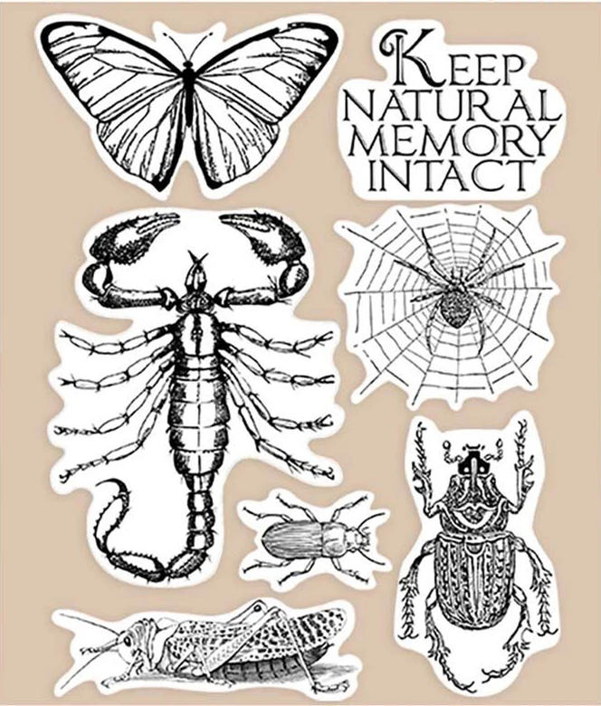 Description Picture 3 of item2021 New Arrivals Clear Stamps For Scrapbooking Card Making Chess Lion Butterfly Snake Natural Stamp Set Account Craft No Dies
