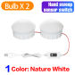 2 Bulbs Hand Sweep