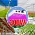 Slide image ab6255b9af4647be96b117744bf55ddc