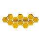 12PCS Gold
