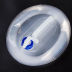 Slide image 30b1a61f6dd54b67aac37ff8b3d59651