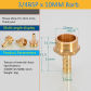 3l4 BSP 10mm Barb M