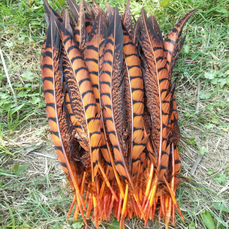 Description Picture 2 of itemHot Selling 10pcs Beautiful Orange Copper Tail Chicken Feathers 10-12inch/25-30cm DIY Jewelry Stage Performances Decoration