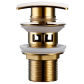 Polished Gold O
