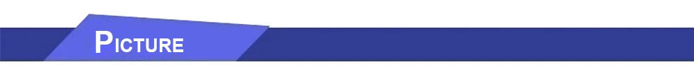 Description Picture 2 of item1PCS Squirrel Artistic Hair Paint Brush High Quality Art Painting Brushes Detachable Watercolor Brush for Drawing Art Supplies