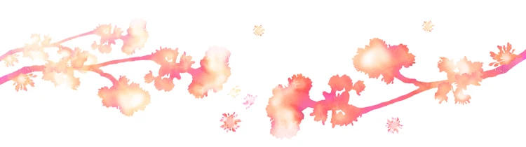 Description Picture 3 of itemMeetee 20# 60/75/80/100/150/200CM Extra Large Resin Zipper White&black Open-end for Down Jacket Coat Pocket Zippers Slider AP547