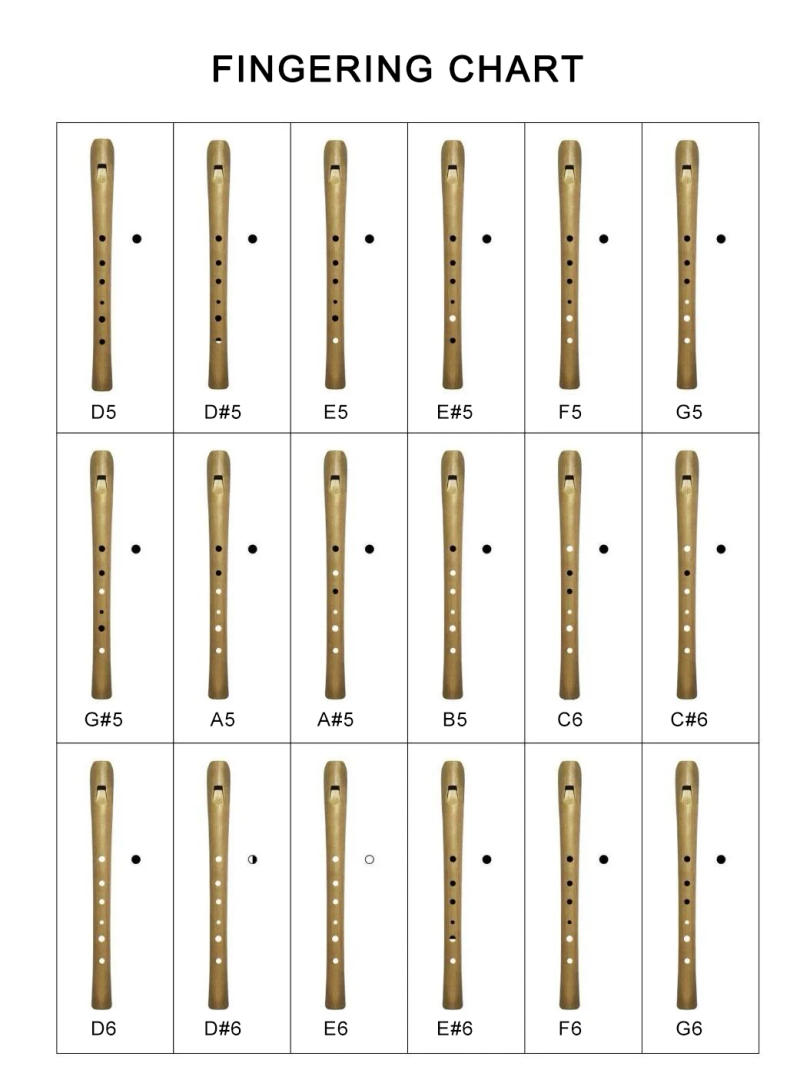 Description Picture 2 of itemD Key Clarinet Quaint Vertical Flute Musical Instrument Flute Portable Woodwind Instrument Folk Clarinet Flute With Bag