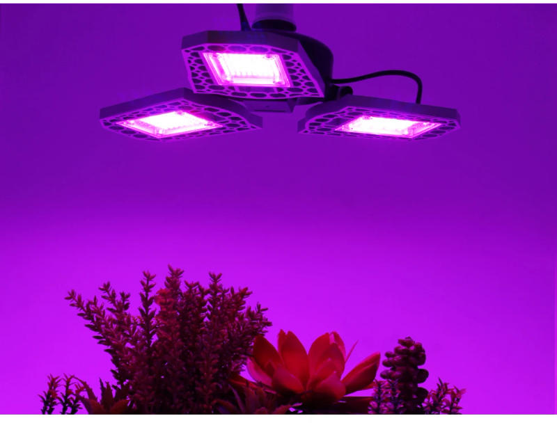 Description Picture 3 of itemRed Blue Light LED Plant Grow Lamp E27 Full Spectrum 110V 220V 500W Hydroponic Greenhouse Growth Tent Light IP65 Deformable Bulb