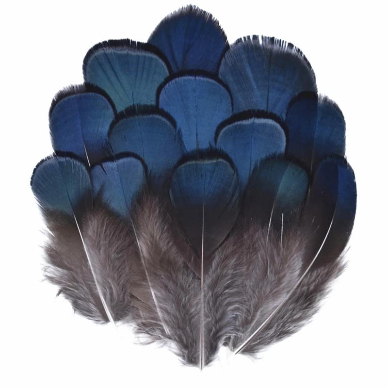 Description Picture 6 of itemWholesale Natural Peacock Pheasant Feathers Small Eagle Chicken Plumes Ostrich Decor DIY Handicraft Accessories Jewelry Creation