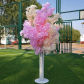 champagne pink