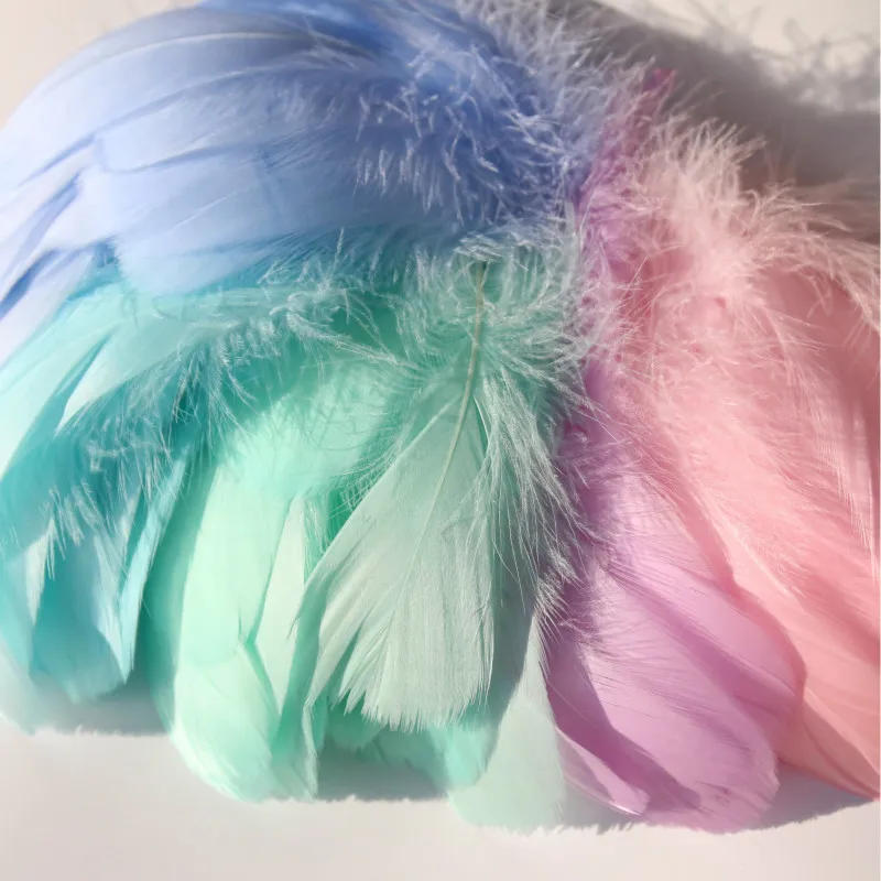 Description Picture 2 of itemNatural Goose Feathers Plumes 4-15cm Colourful Swan Feather Plume for Home Decoration Craft DIY Party Jewelry Decoration 3Size