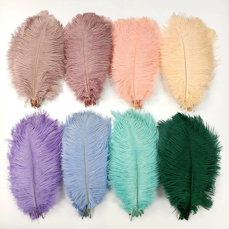 Description Picture 6 of item10Pcs/Lot Colored Natural Ostrich Feathers for Crafts DIY Feather Table Centerpieces Plumes Accessories Wedding Party Decoration