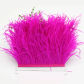 Fuschia