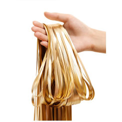 2M-3M Champagne Gold Matte Party Backdrop Fringe Tinsel Foil Curtains Adult Happy Birthday Wedding Decoration Photo Booth Drape