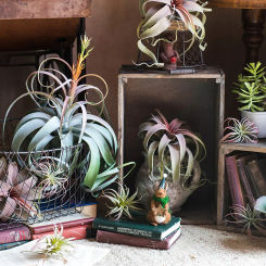Large Artificial Succulent Plants Fake Air Grass Plastic Aloe Big Tree Leaves Wall Hanging Plant For Home Wall Desk Garden Decor