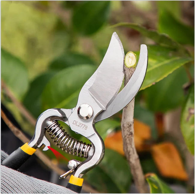 Description Picture 4 of itemDeli Tools Garden Tree Branch Shears Professional Secateur Pruning Shears Tree Clippers for Tree Branches