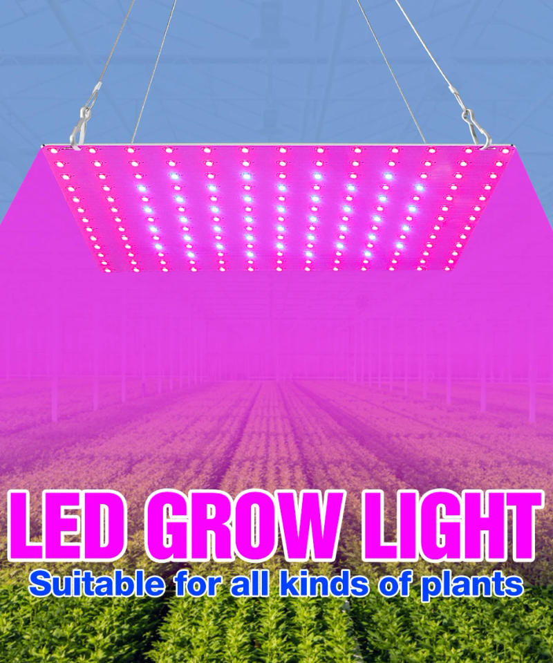 Description Picture 2 of item1500W Full Spectrum LED Grow Lamp Quantum Board Plant Light 220V LED Phyto Bulb 1000W For Greenhouse Flowers Seedling Grow Tent