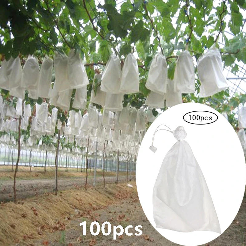 Description Picture 3 of item100pcs Garden Strawberry Grapes Fruit Protection Bags Cover Plant Nursery Bag Pest Control Anti-Bird Mesh Bag Gardening Protect
