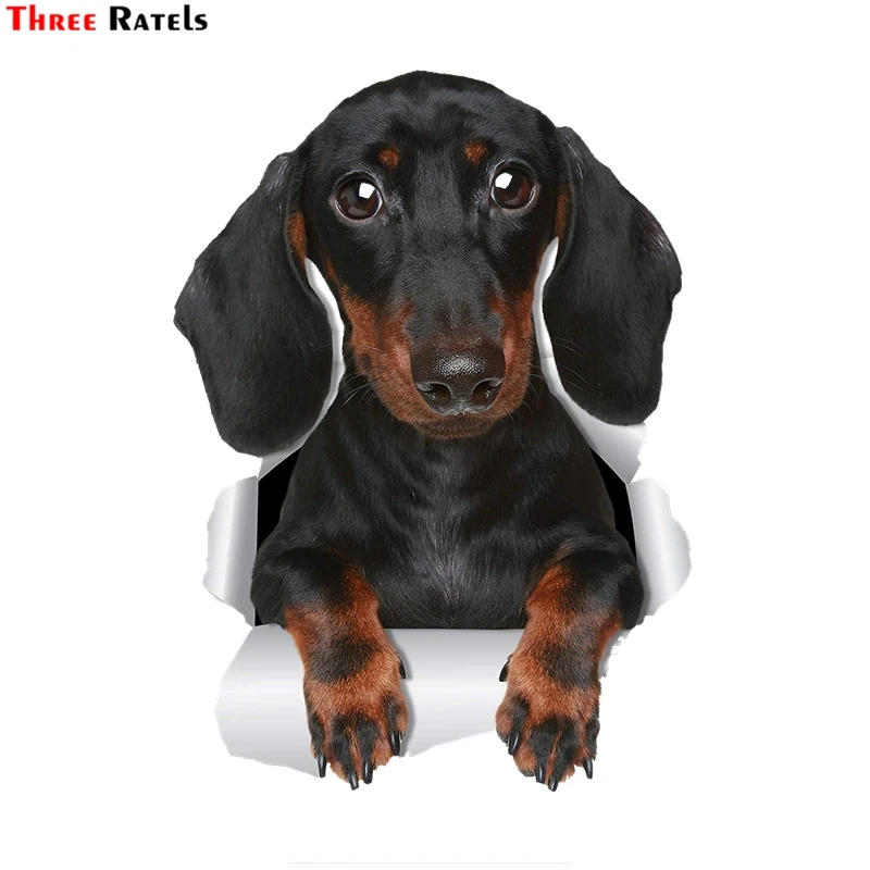 Description Picture 2 of itemThree Ratels 1071 3D Three Ratels 3D Cute Dachshund Sausage Sticker Dog Decals For Walls Cars Toilet Luggage Skateboard Laptop