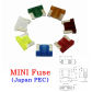 MINI PEC