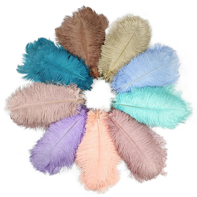 Description Picture 5 of itemWholesale 10Pcs/Lot New Colorful Ostrich Feathers White Black Feather Decor Plumes Vases Party Wedding Accessories Decoration