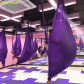 Dark purple