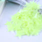 50PCS Light Yellow