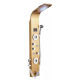 Golden 8006