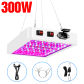 300W 216leds