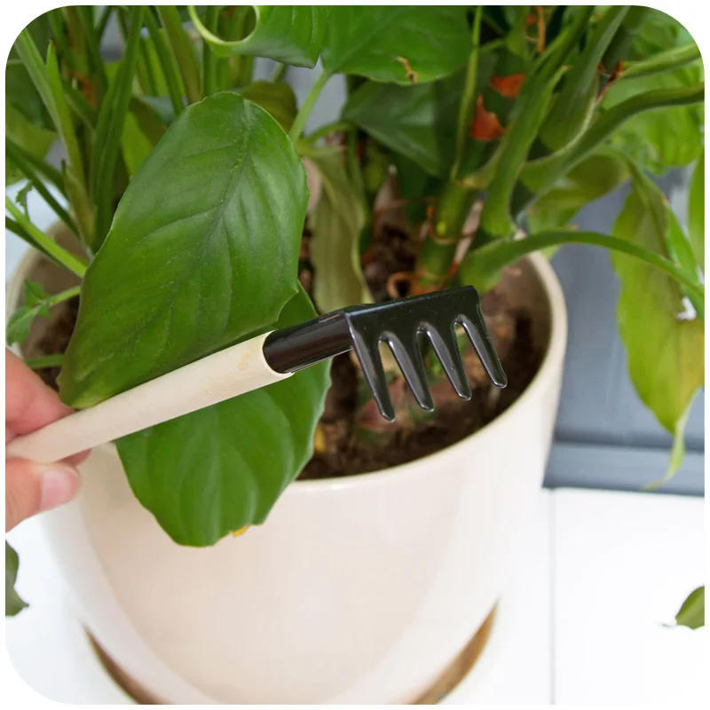Description Picture 6 of item3pcs/set Mini Shovel Rake Set Wooden Handle Metal Head Shovel For Flowers Potted Plants Mini Garden Tool Seed Disseminators