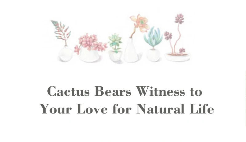 Description Picture 4 of itemNEW Creative Ceramic Cactus Bonsai Pots Indoor Decorative Plant Pot Garden Succulent Flowerpot Home Balcony Green Clay Planter