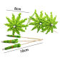10cm coconut tree
